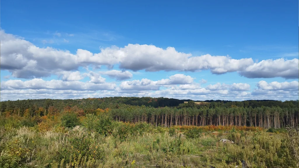 Widok z Długiego Wzgórza