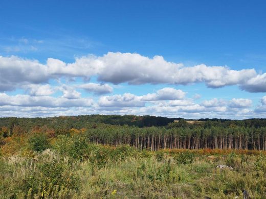 Widok z Długiego Wzgórza